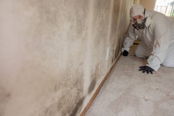 Forensic Mold Investigation in Montara, CA