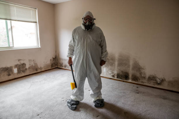 Professional Mold Removal in Montara, CA